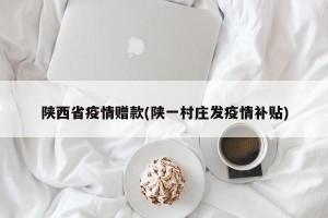 陕西省疫情赠款(陕一村庄发疫情补贴)